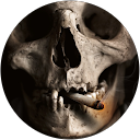 BONE profile picture